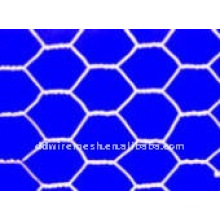 Hexagonal wire mesh